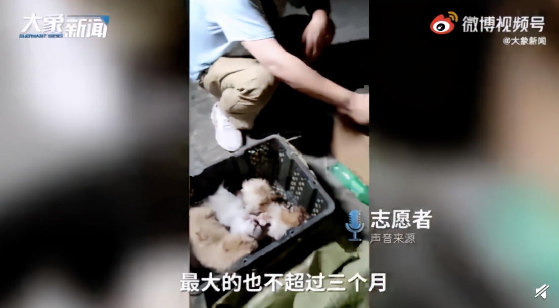 痛心！电梯按钮失效，13岁男孩自救失败坠亡【三分钟法治新闻全知道】