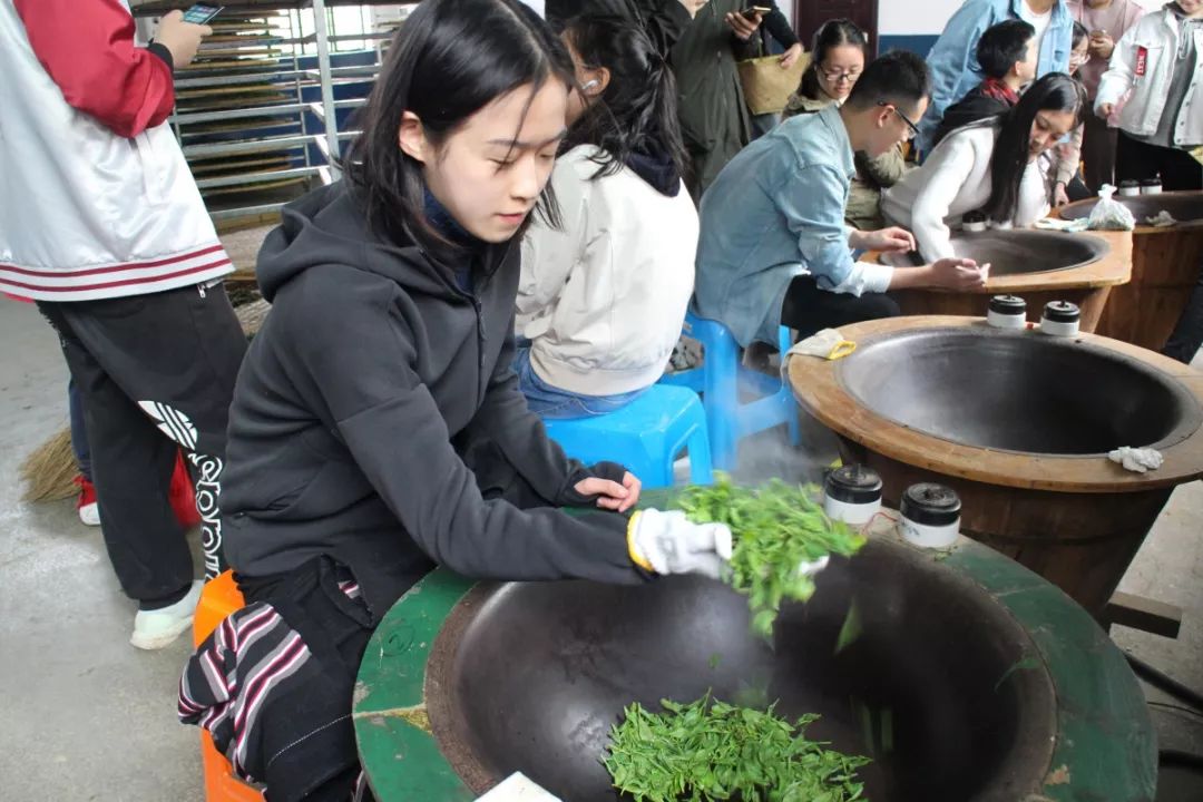 2020年中华茶奥会形象代言人是位浙大姑娘：一位漂亮的实力派！