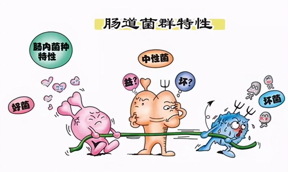 腹痛腹泻，不能吃生冷？皆因脾虚有寒湿！中医止泻方，健脾祛寒湿