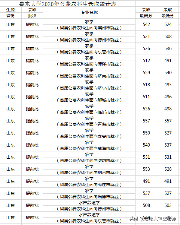 2020鲁东大学在山东本科录取情况（2021考生收藏）