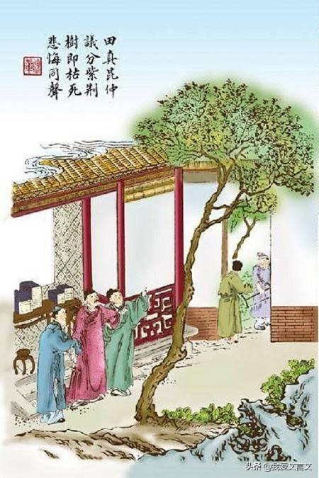 经典文言文赏析 | 三田分荆