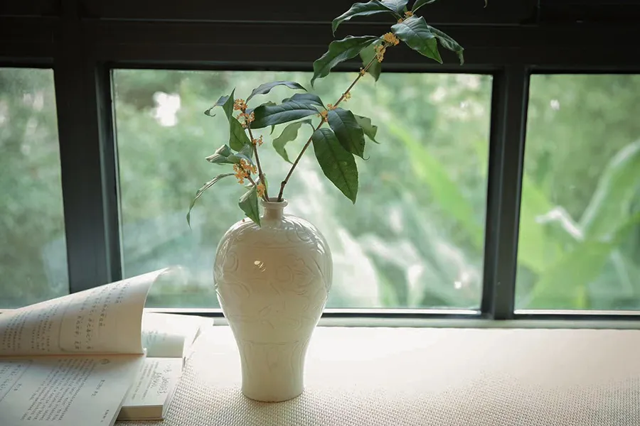 今日秋分:清景难逢,一切都爽朗起来