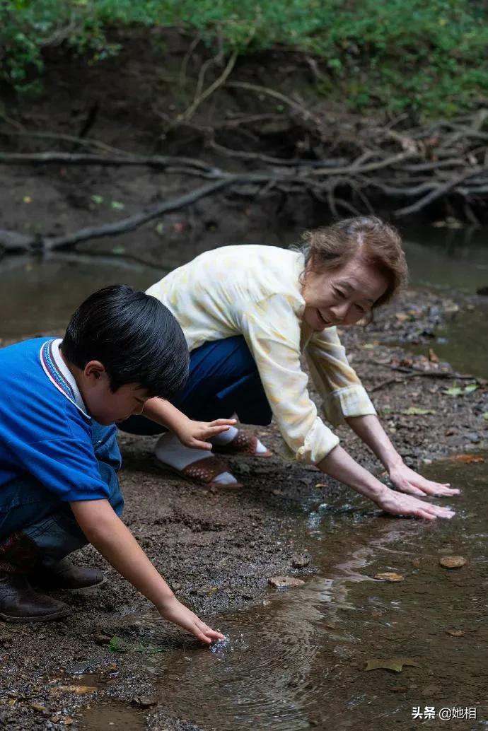 水芹菜电影剧情解说解析