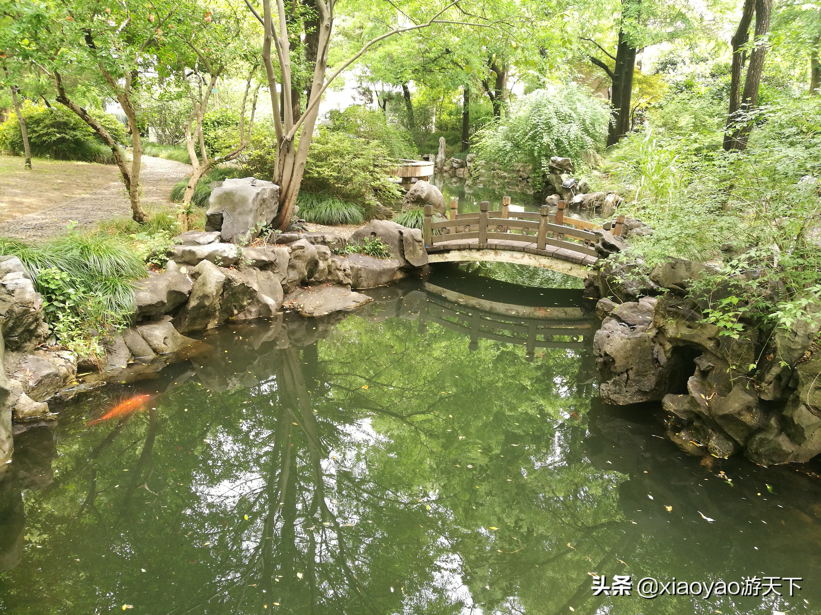 最美大学之旅——复旦大学