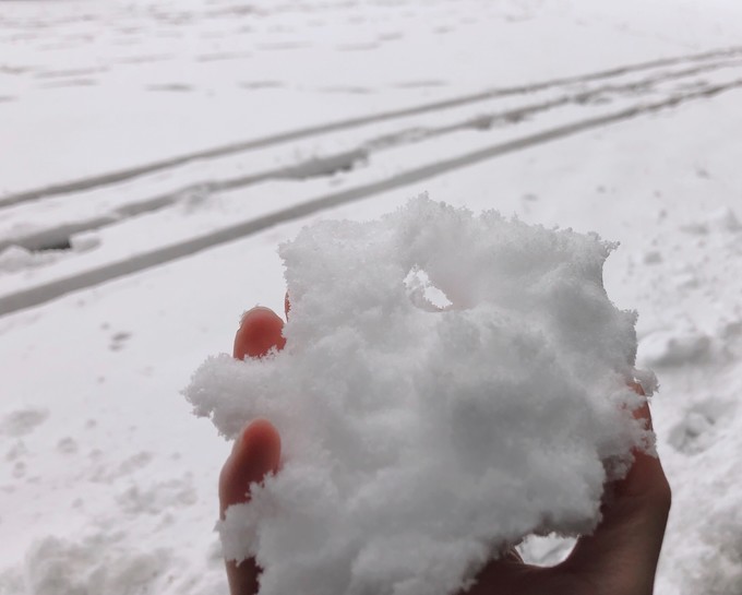 南京下了雪啊，就成了金陵！南京三日游记