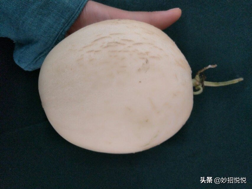 伊麗莎白瓜,伊麗莎白瓜的營養價值及功效與作用