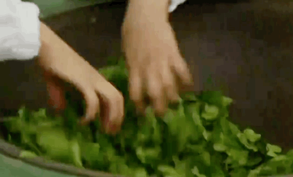 “她”力量为助农扶贫插上美丽翅膀