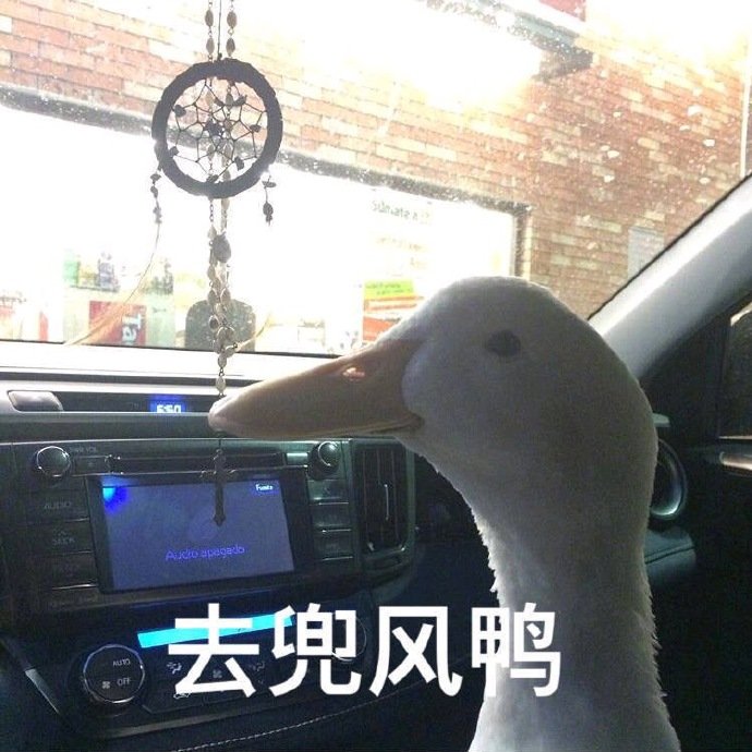 鸭子表情包：别惹我，我有大哥罩鸭