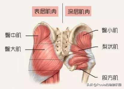 臀部两侧凹陷怎么办？自身颈椎曲度变形，做颈部瑜伽有影响没？