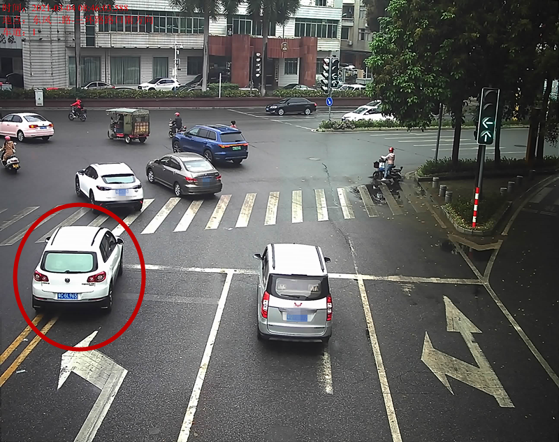 交通违法曝光！