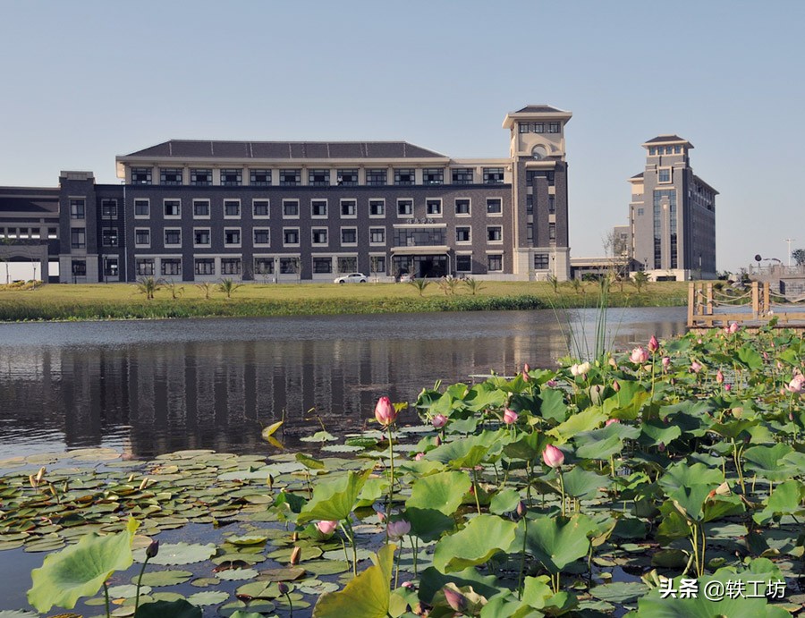 这6所高校很低调，却拥有顶尖学科，行业声望不输211