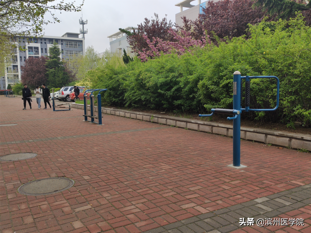 「学党史办实事」困扰学生学习生活的10个问题被攻克啦