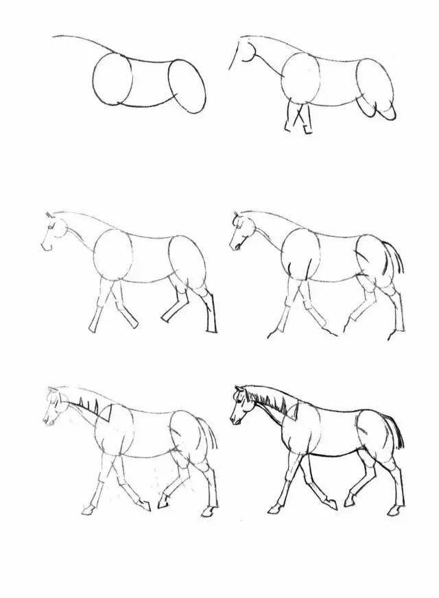 你想学画马吗？分享一些马的简笔画教程，提笔就能画