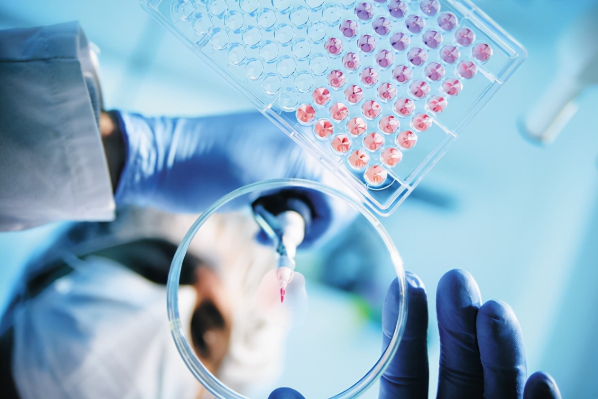 浙江两所高校合并，即将产生一所“新大学”，填补医药类院校空白