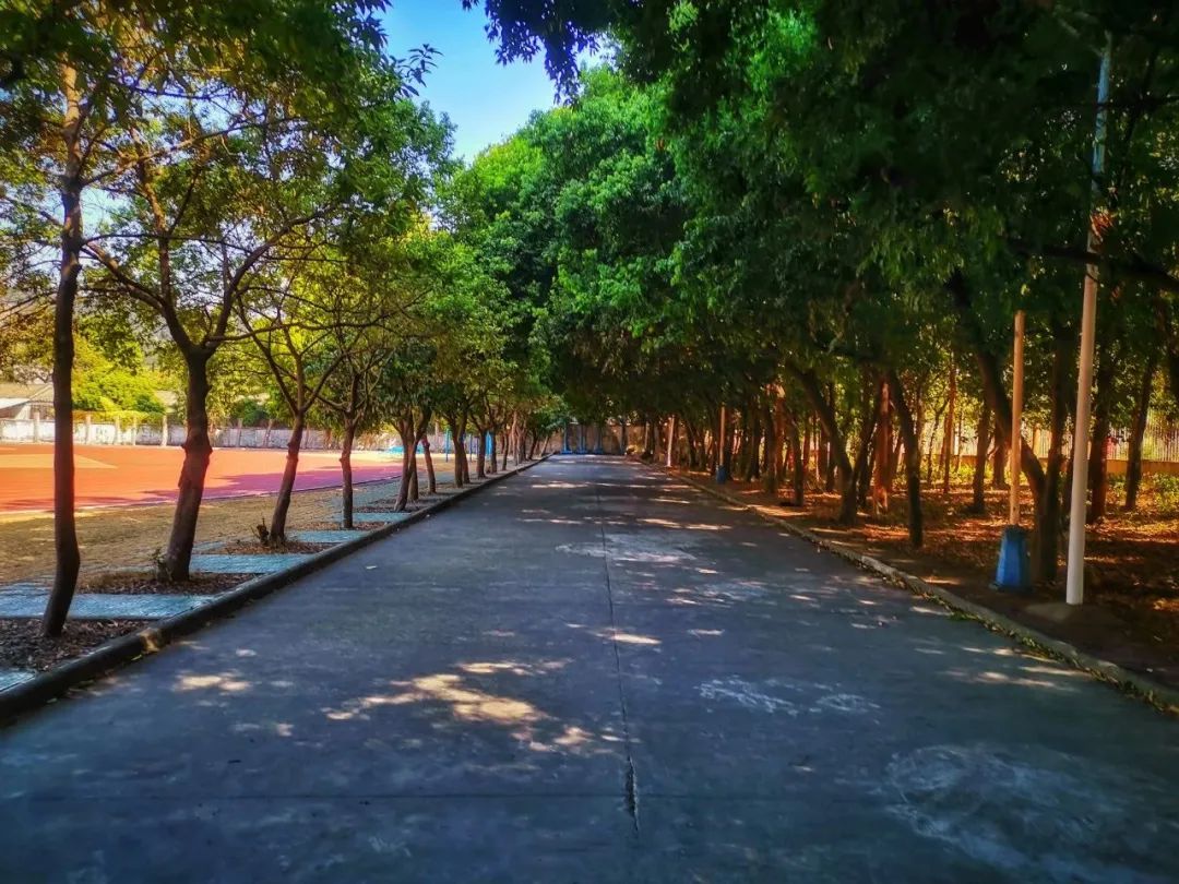 广东高职高考必看｜揭阳职业技术学院