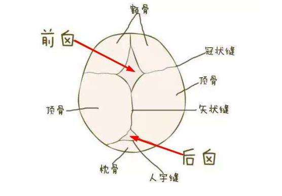 儿科医生：囟门是宝宝健康晴雨表，4项误区，6种异常要牢记