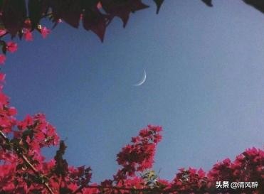 适合单身的个性签名 有内涵的单身语句大全图片