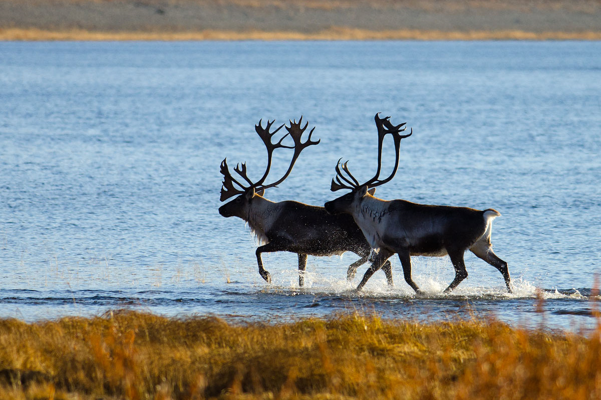 这，可能是世界上最贵的坑