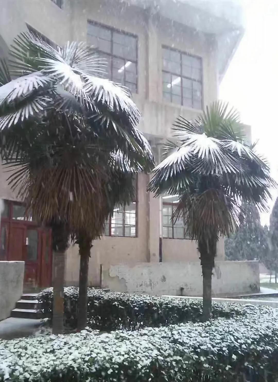 回味洛阳工学院北院的标志性建筑