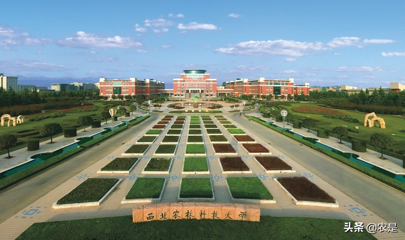 王小龙，教授，博导，西北农林科技大学，羊业专家