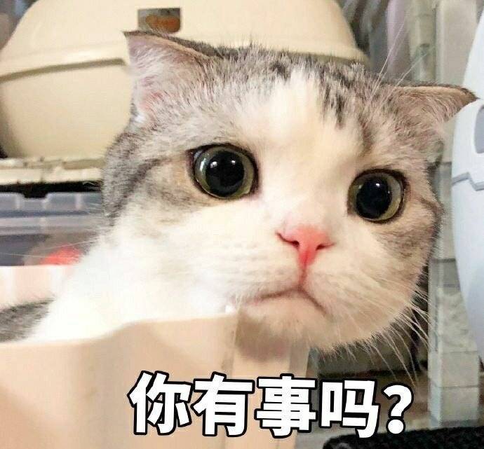 生气火大的表情包合集