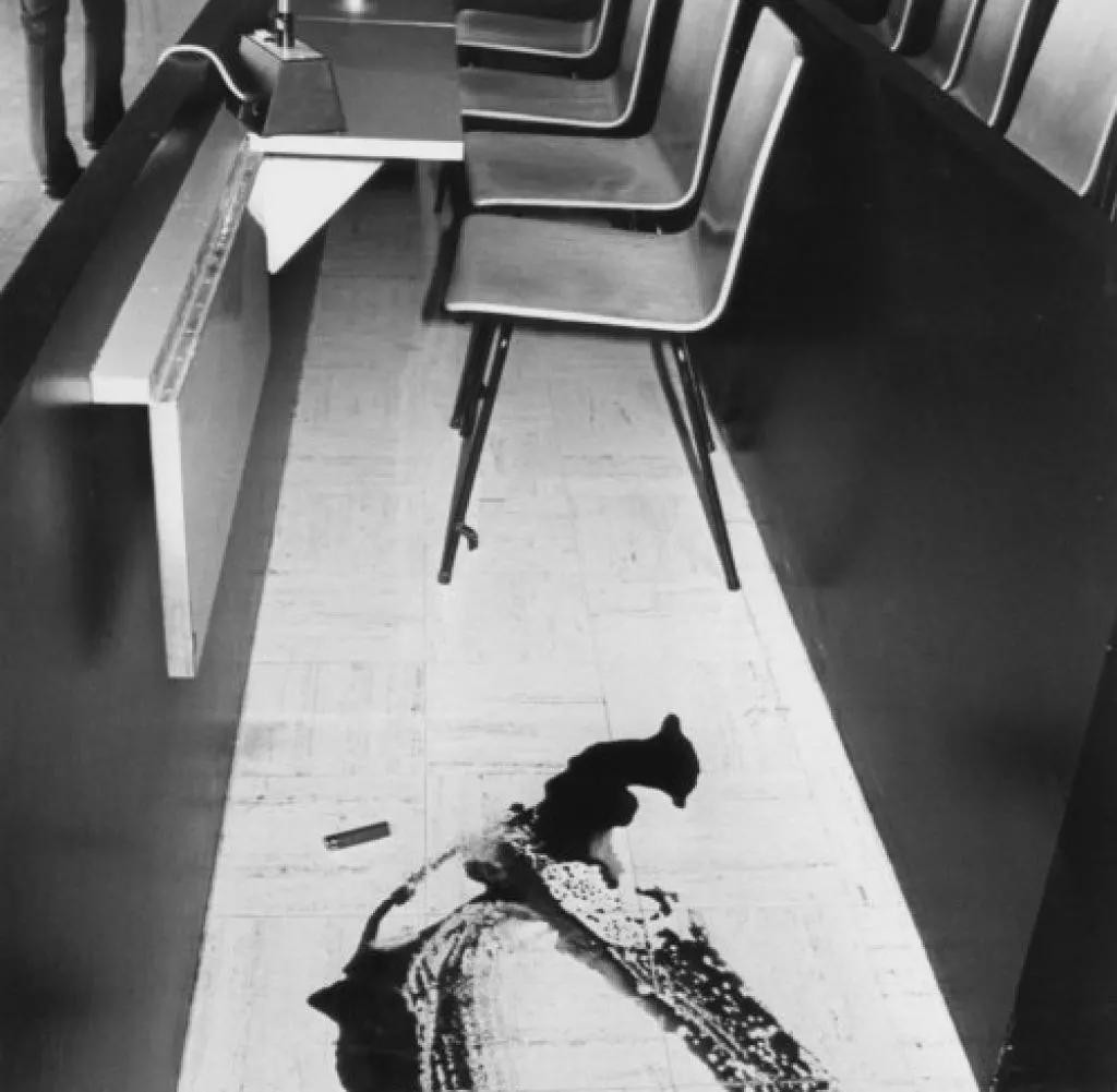 1980年七岁女孩被猥亵杀害，凶手想抵赖免罪，法庭上母亲连开8枪