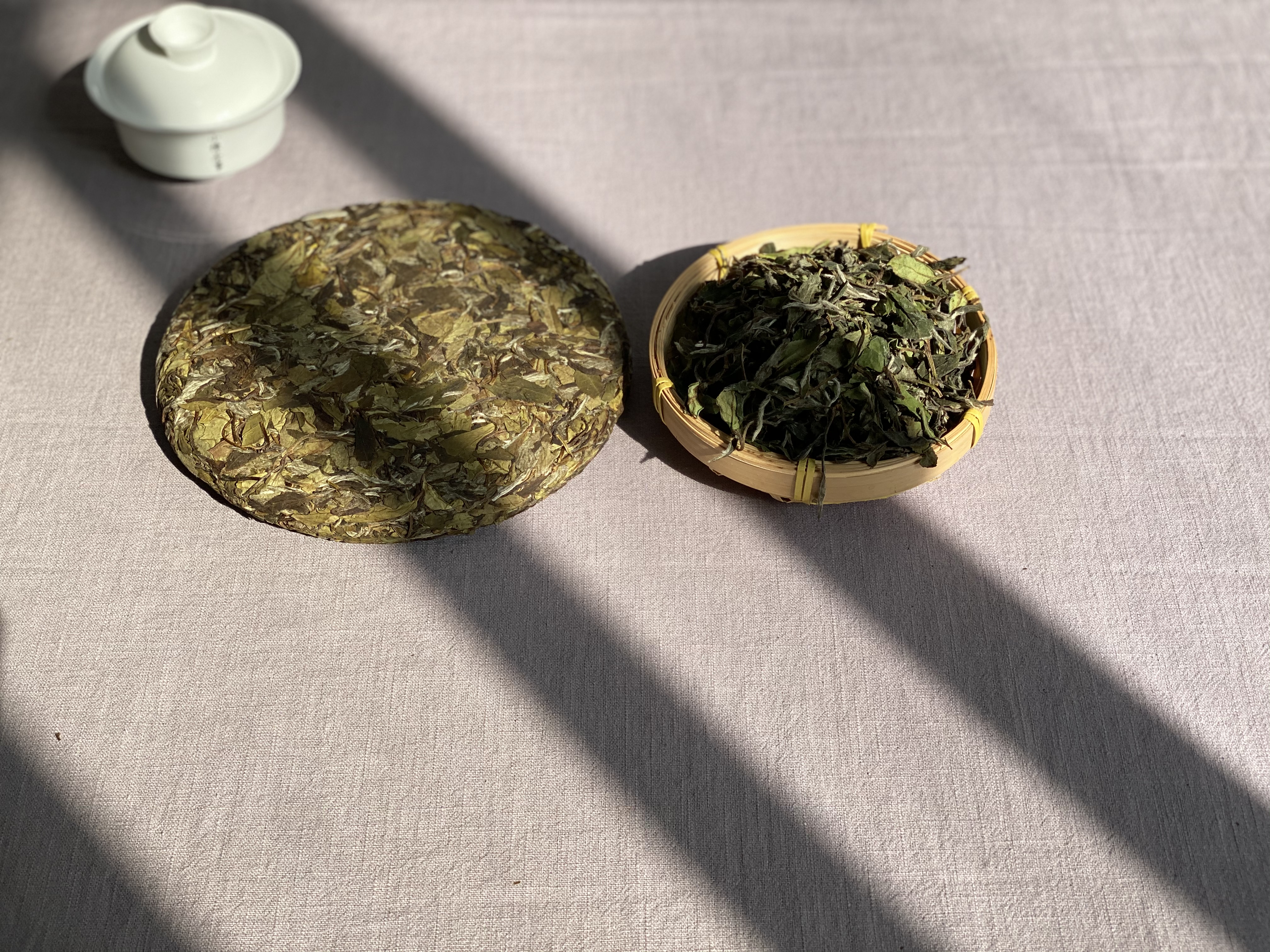 白茶属于红茶还是绿茶（喝懂白茶的7个基础知识）