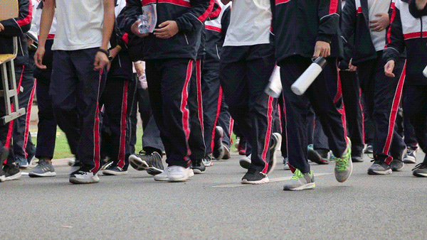 愿你出走半生，归来仍是少年