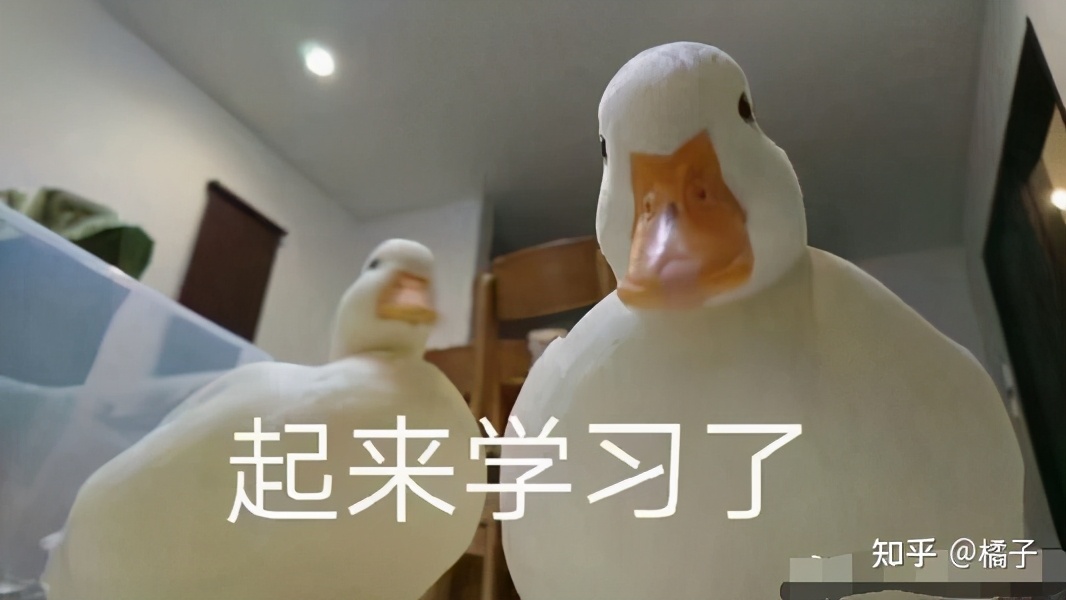 no1.纯干货分享——西南大学应用心理学专硕347考研