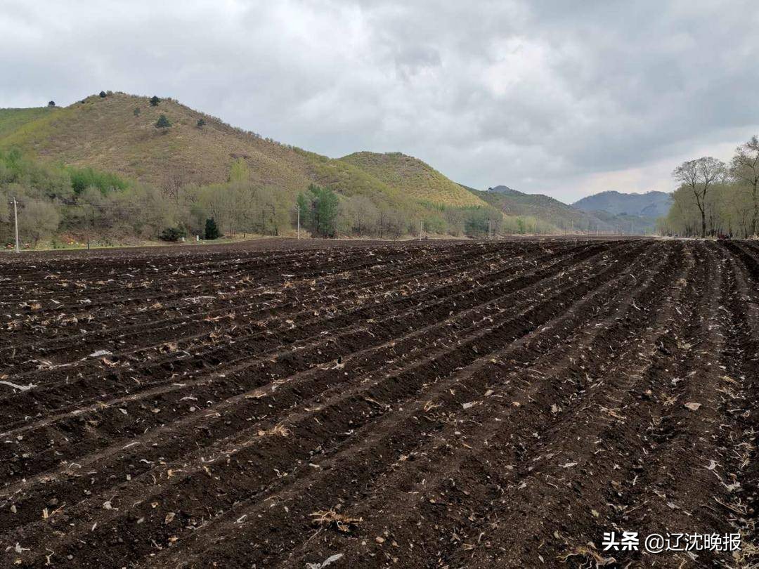 涉4市10縣！遼寧建160萬畝黑土地保護示范區(qū)
