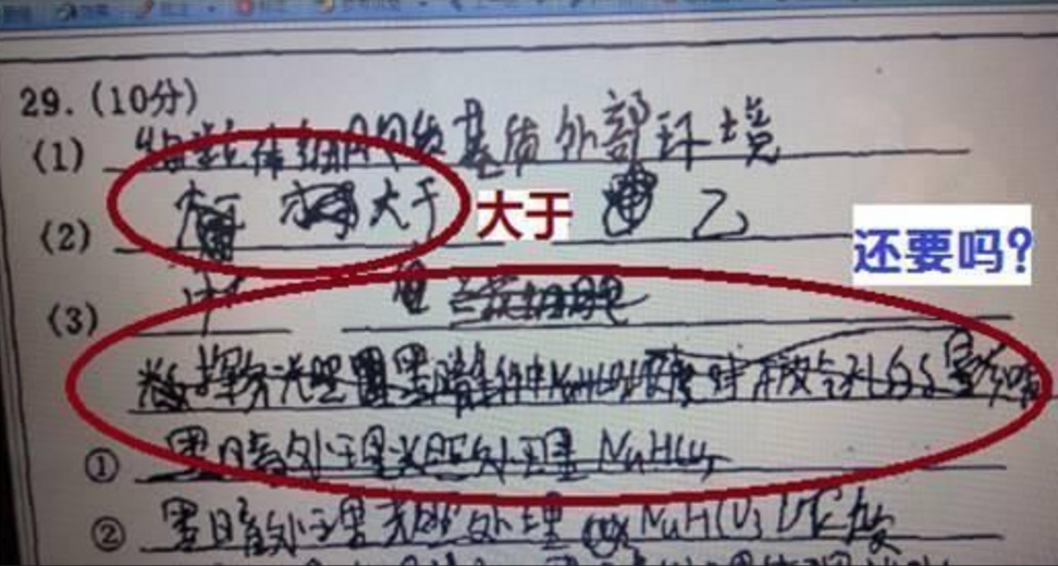 高考阅卷“衡水字体”又火一把，让人豁然开朗，判卷老师不忍扣分