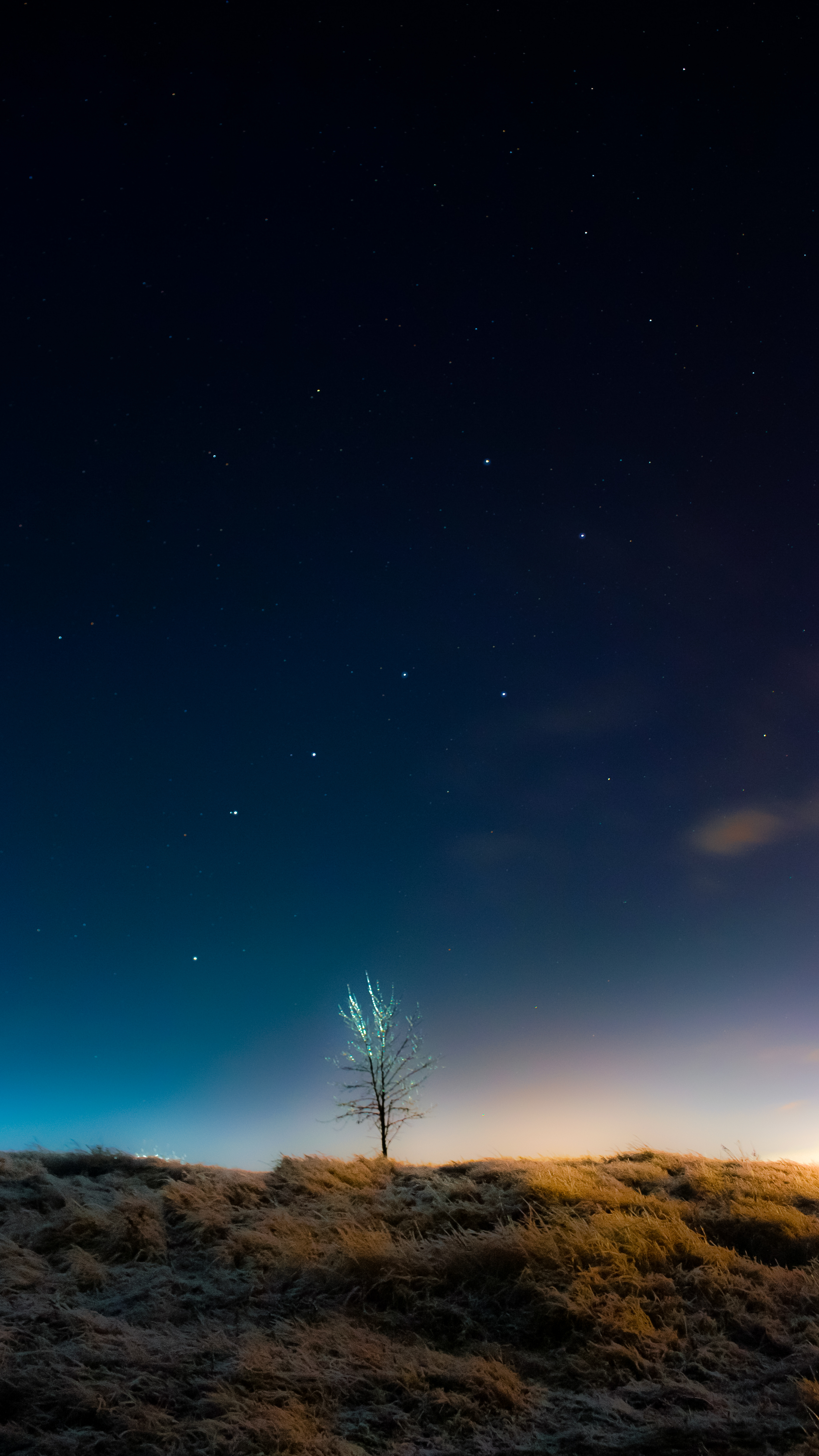 壁纸｜看璀璨的冬季星空，看流星洒落天际