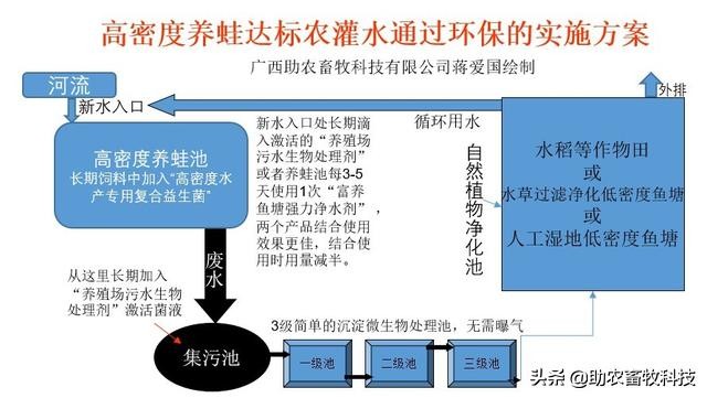 å…»è›™ç—…å¤šè‡-å‘3çŽˉä¿é—®é￠˜è¿™æ ·åšè½»æ˜“å°±è§￡å†3äo†ï¼Œä¸éœ€å¤§è®¾æ–½æŠ•å…￥æˆæœ¬ä½Ž