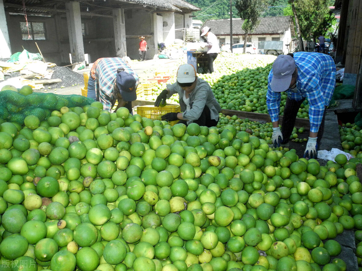 开店如何进货？精明的老板都这样做