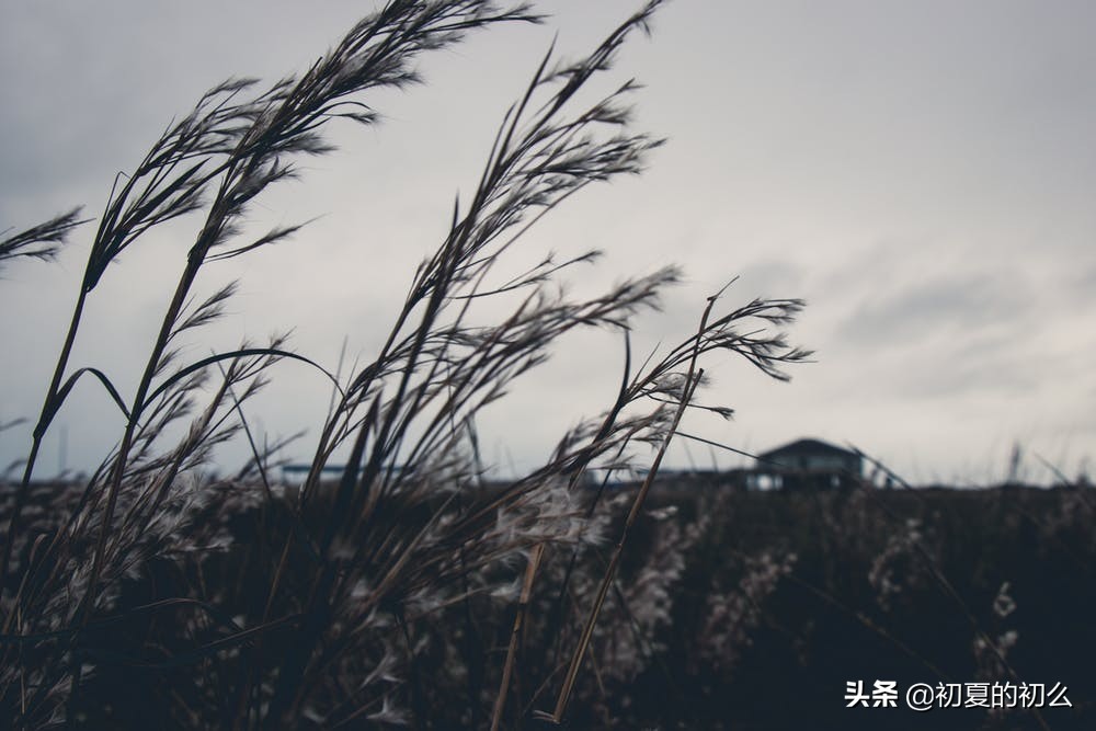 伤感的句子 | 你走之后，我得了一场大病，疼得我痛不欲生