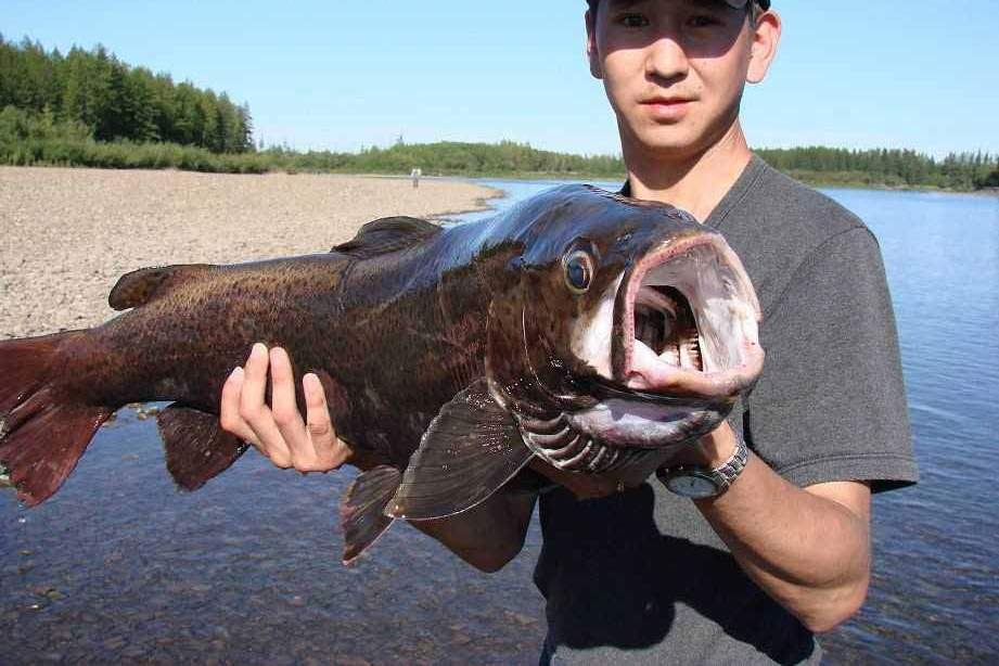 这，可能是世界上最贵的坑