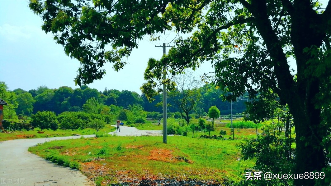 史上最励志的一组数字说：你的偷懒无所遁形，你的努力不会白费