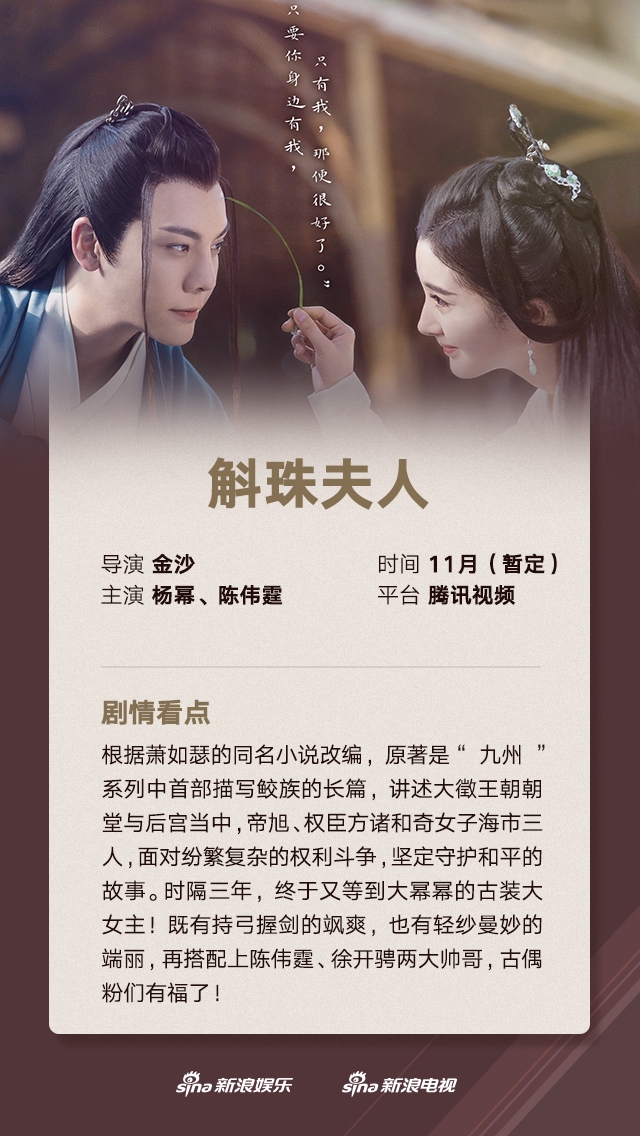 2021年11月电视剧最新列表热播影视剧推荐