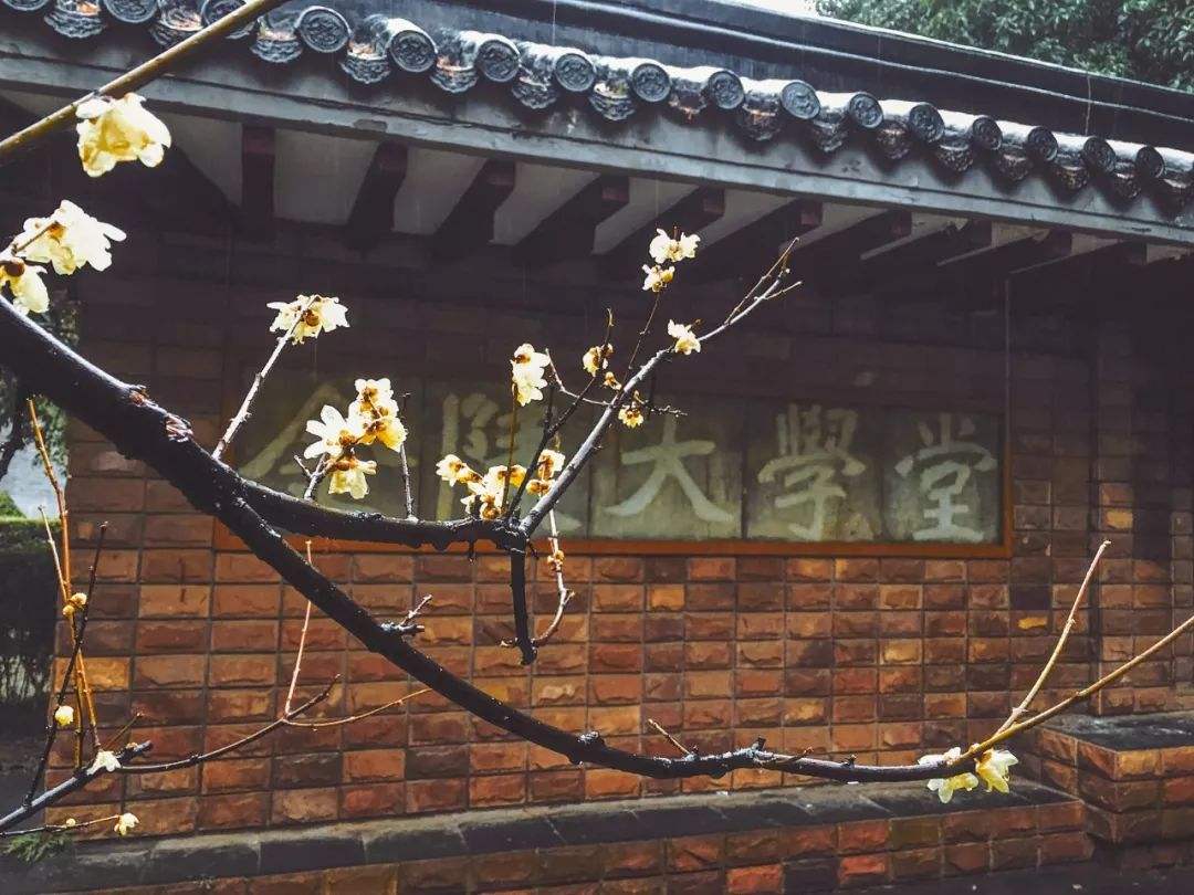 山东最难考的30所大学，理科清华大学排第2，文科复旦大学并列第3