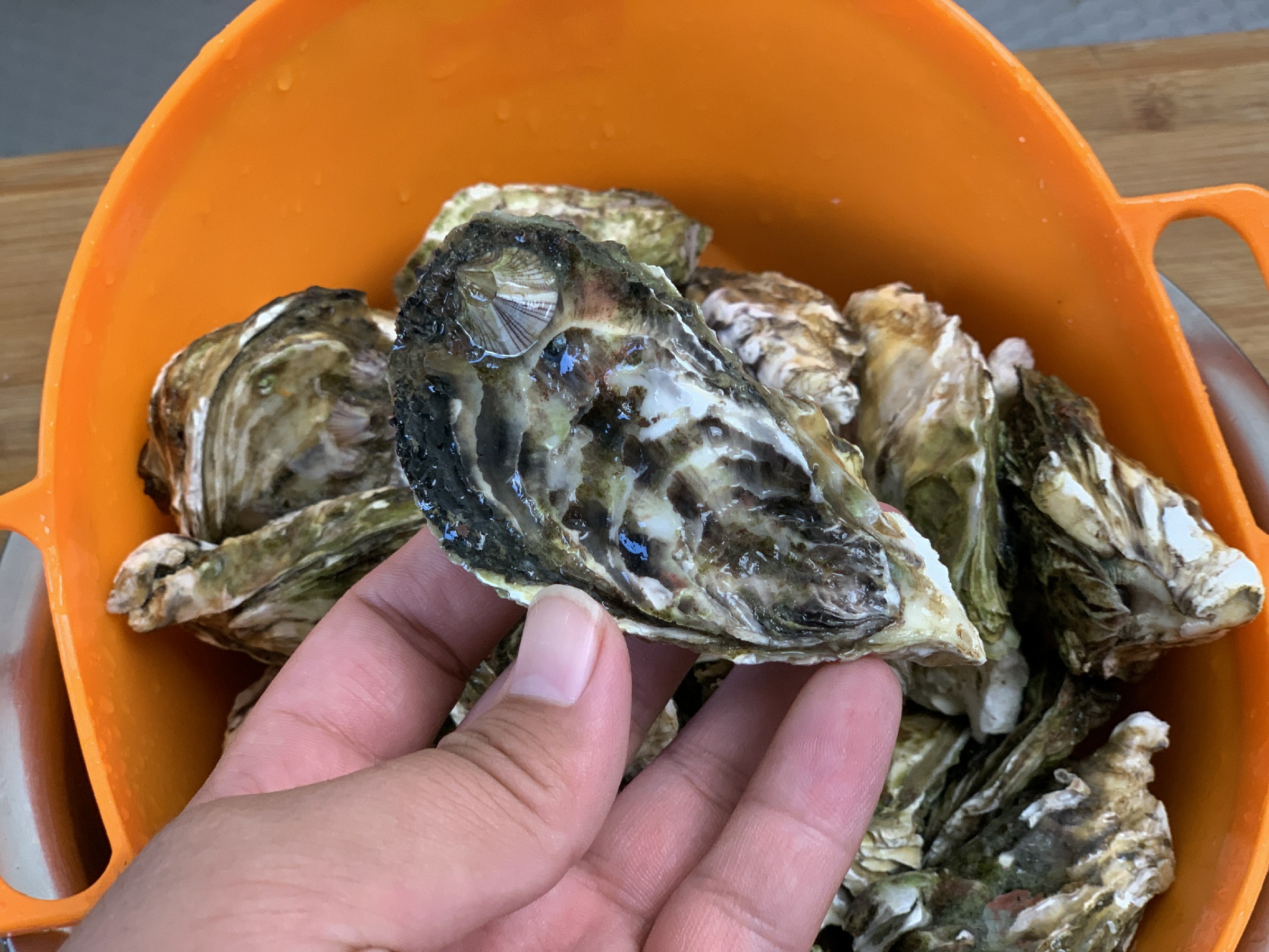 买生蚝时,挑大个还是挑小个?老渔民告诉您窍门,一挑一个准