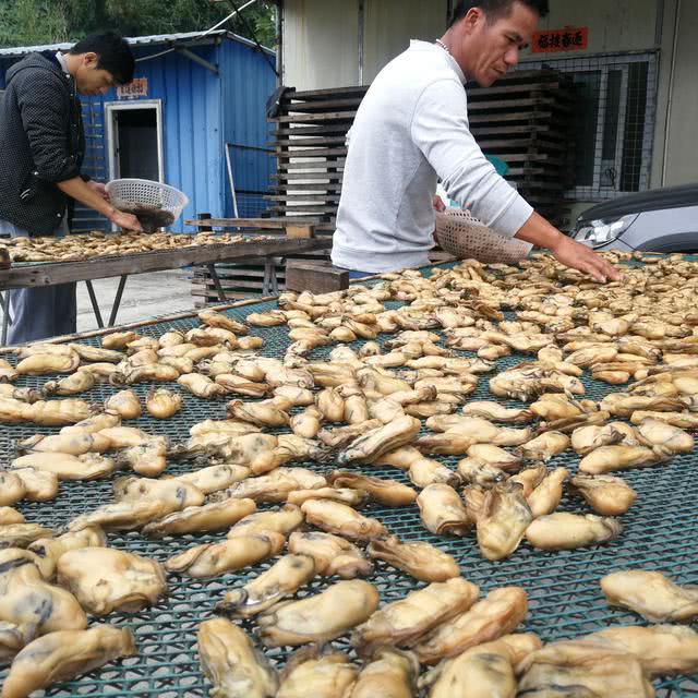 生蚝肚子黑色的是排泄物？蚝农亲口说：里面才是精华