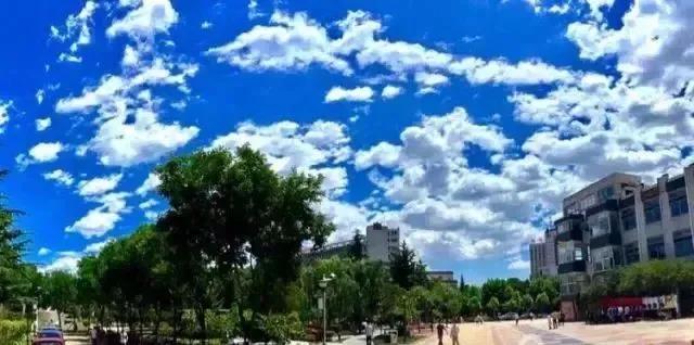 重磅！北京石油化工学院2020年全日制本科招生章程正式发布