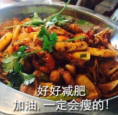 美食减肥表情包合集｜好好减肥，加油，一定会瘦的