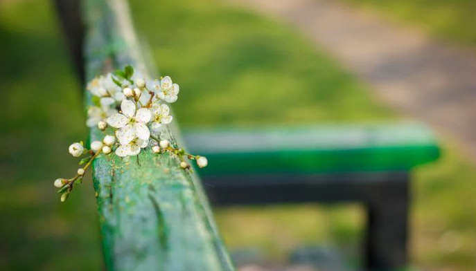 南北东西总是禅，十二首有关禅心的诗词，看古诗词里的禅意