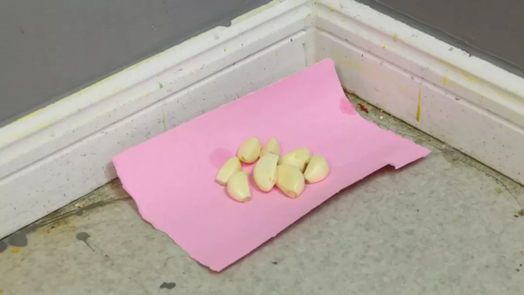 家里有蚂蚁不用开水烫,家里撒一把,蚂蚁不敢来你家,尽快试试