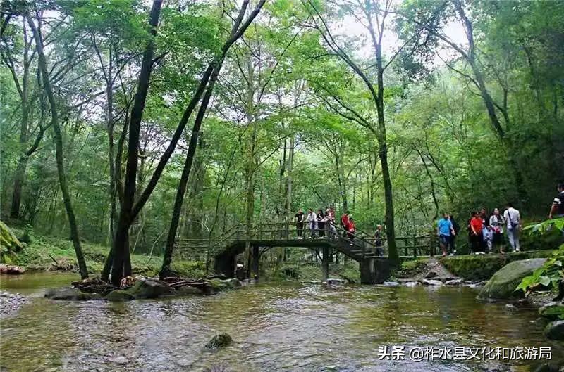 炎炎夏日何其热，行于柞水享自在