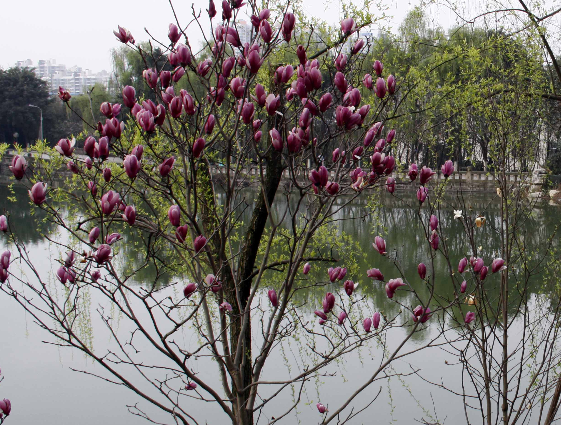 重庆工商大学2018录取分数