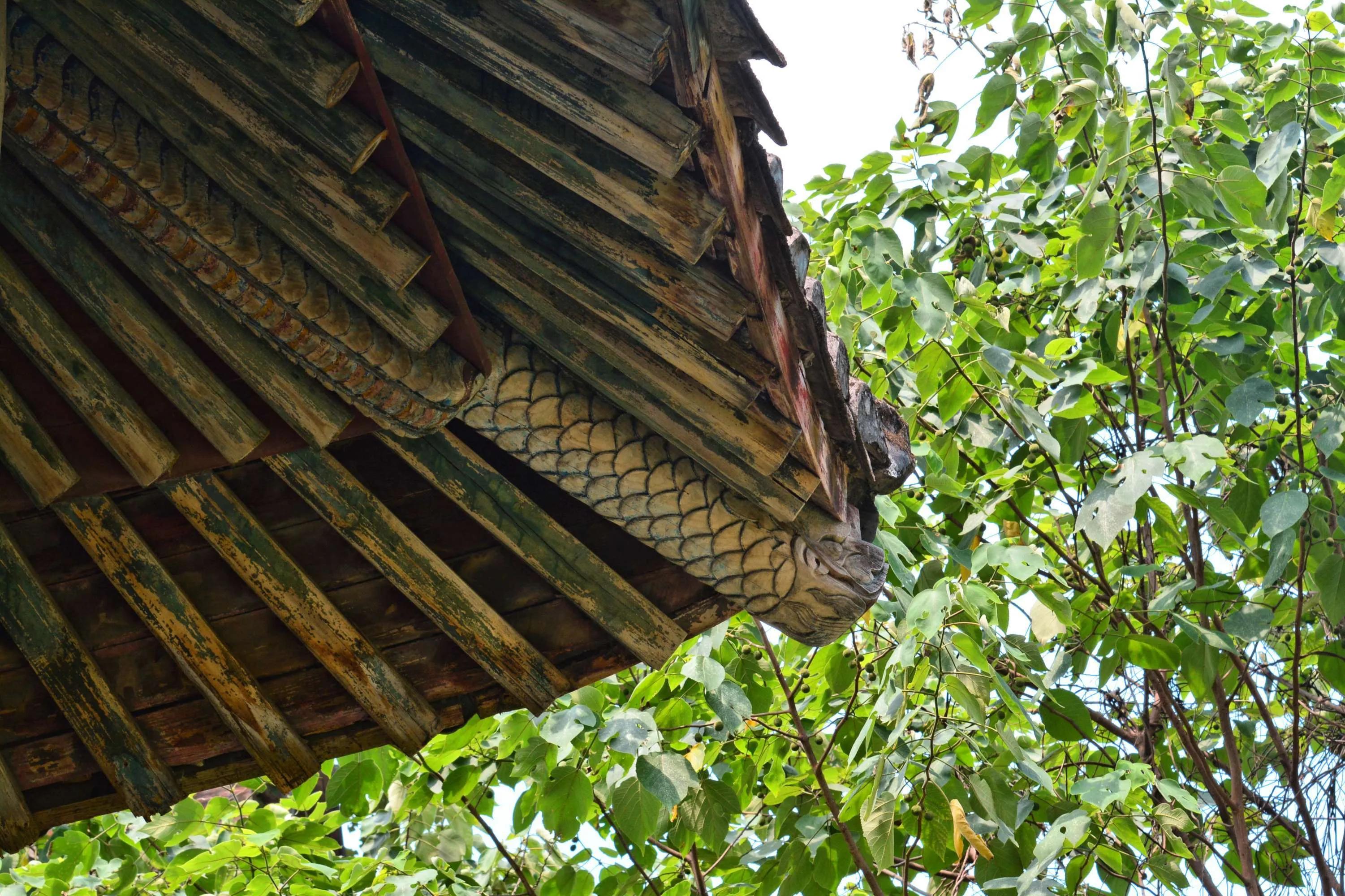 带你游福州——隐没在福州海王制药厂中的福建协和大学旧址