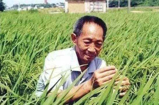 “珍惜粮食，好好吃饭，我先走了”