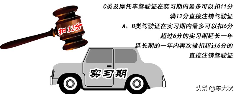 实习期驾驶人,